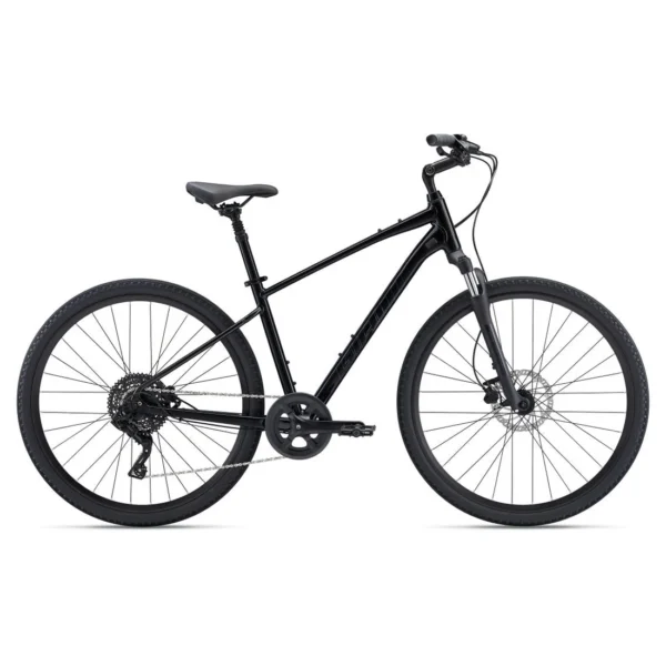 Giant Cypress DX Comfort Bike 2022 - Image 2